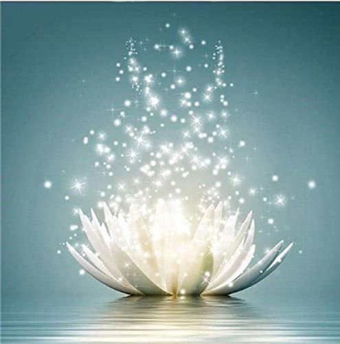 Peinture au diamant 5D fleur blanche sur l'eau kit adulte broderie strass 30x40 cm