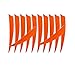 50 Pcs 4 Inch 5 Inch Archery Arrow Fletching Turkey Feather Fletching Right Wing Left Wing Feather Real Arrow Vanes for Hunting Arrow Accessories DIY Archery (5 inch/Right Wing, Orange)