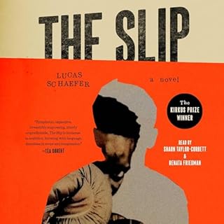 The Slip Audiolibro Por Lucas Schaefer arte de portada