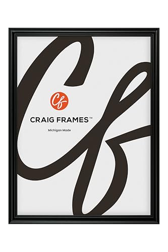 Craig Frames Value Added 27x41 Black Picture Frame