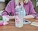 Silver Buffalo Sanrio Hello Kitty Strawberry Plastic Milk Carton Bottle With Spill-Resistant Lid | Holds 16 Ounces