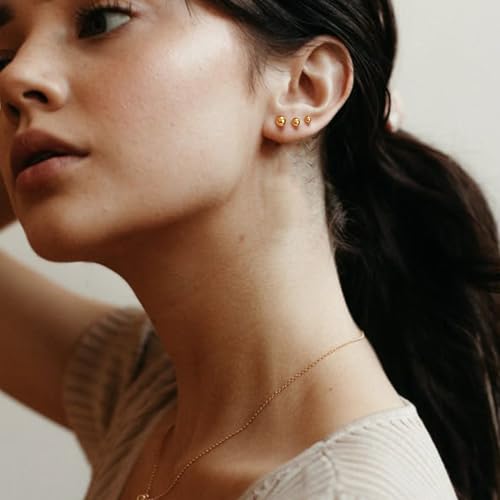 BMMYE Stainless Steel Earrings for Women,Small Stud Earrings with Cubic Zirconia Earrings Studs Set Waterproof Sensitive Earrings Hypoallergenic Stainless Steel Stud Earring for Women2