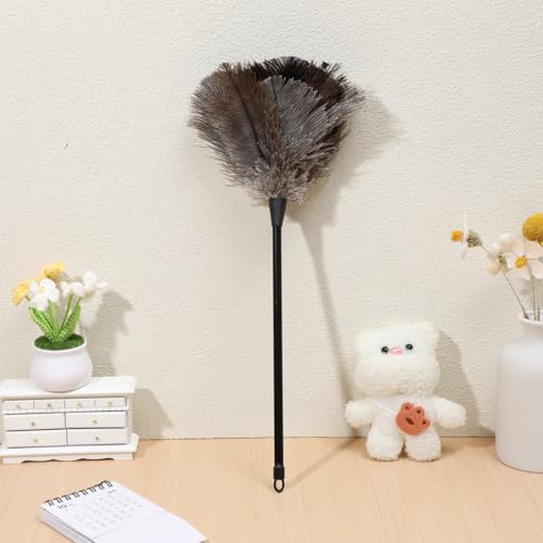 Image of iplusmile Ostrich Duster with Long Handle Lightweight Natural Cleaning Tool for Dusting Home Office Car Kitchen