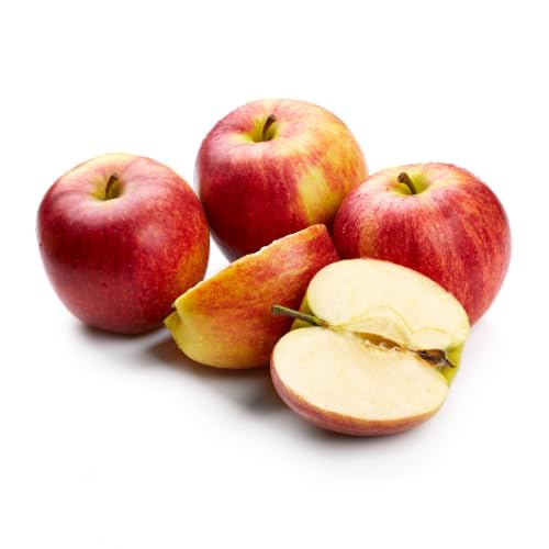Frische Kontor | Saftige Tafeläpfel - Sorte: Elstar | Süßlich fein-säuerlicher Geschmack | 1. Klasse Äpfel aus dem Alten Land (1 KG)