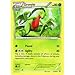 Pokemon - Grovyle (7/160) - XY Primal Clash