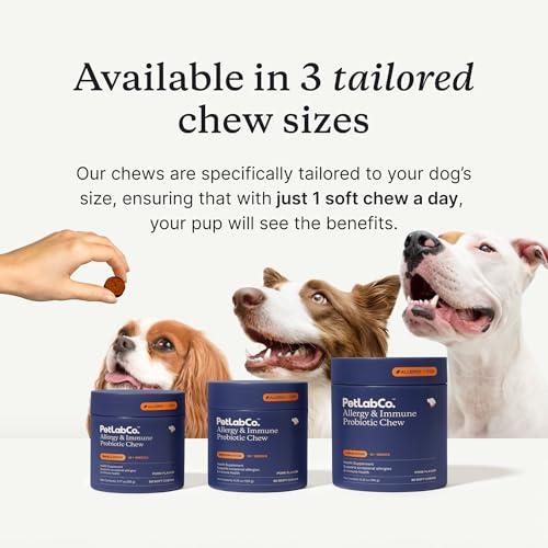 PetLab Co. Allergy & Immune Daily Probiotics for Dogs. Supports Yeast Production, Seasonal Allergies, Intermittent Itchiness, Gut & Digestive Health for Medium Size Dogs, Packaging May Vary - Thumbnail 4
