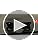Ray-Ban Wayfarer Polarized Sunglasses