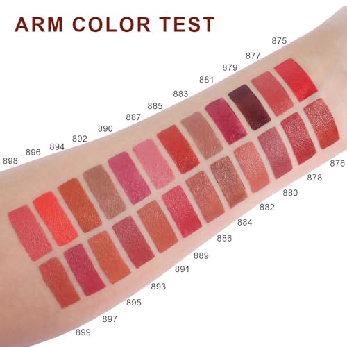 Image of evpct Nude Brown Velvet Matte Lipstick, High Pigmented Slim Lipstick Long Lasting Waterproof for Women Gift, Velvet Silky Lip Stick Stain Color Makeup Blendable 24 Hours Original Makeup Labiales, 892#