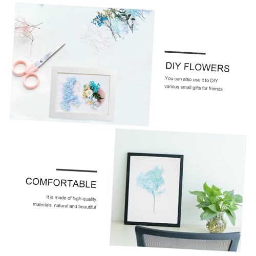 Kit de material de flores secas para manualidades miniatura 3
