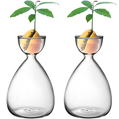 2pcs Small Avocado Seed Starter Vase Avocado Tree Growing Kit Avocados Glass Plant Pot Vase Gifts for Gardening Lovers (2pc Avocados vases)