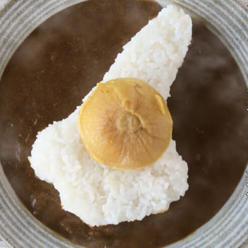 淡路島玉ねぎまるごとカレー10食セット