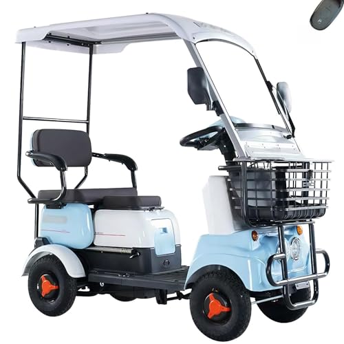 2-Seater Lithium Battery Golf Cruiser