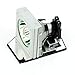 AWO Original Bulb Inside BL-FP200C Replacement Lamp with Housing for OPTOMA HD32, HD70, HD7000, HD720X, Theme-S HD720X