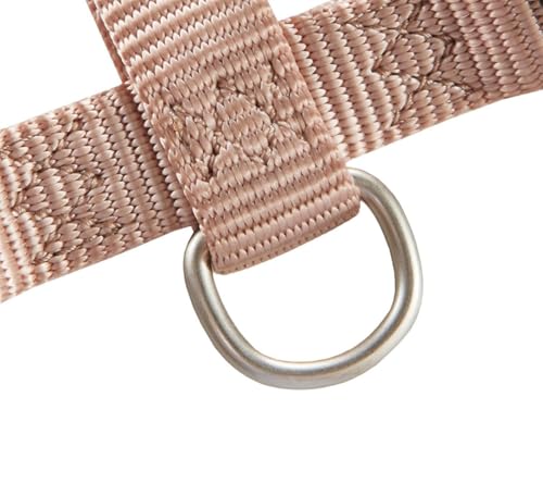 Wolters Geschirr Professional, Größe:M 30-50 cm x 15 mm, Farbe:Champagner