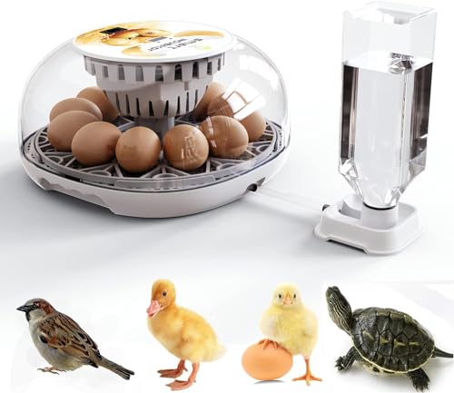 Brutautomat 12 Eier mit Feuchtigkeit 12-24 Eierbrutkasten mit automatischer Eierwende und Feuchtigkeitskontrolle Automatische Brutkästen für Brathühühner Automatisches Nachfüllen von Wasser für Eier
