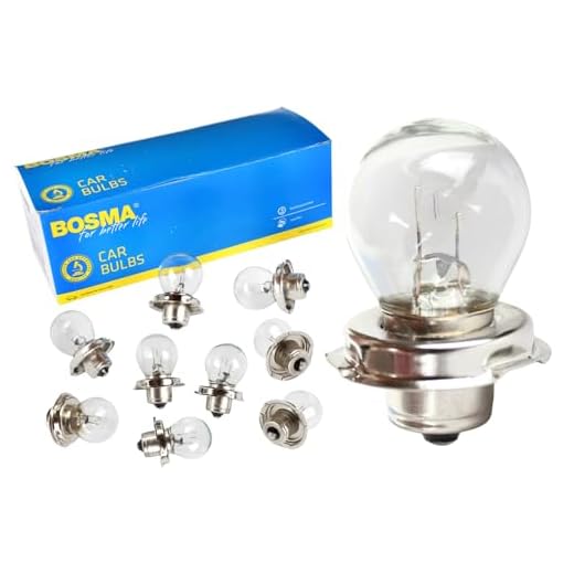 BISOMO 10x Leuchtmittel Glühlampe 12V 15W P26S S3 für Scheinwerfer Moped, Motorrad, Roller mit E- Prüfzeichen, Oldtimer