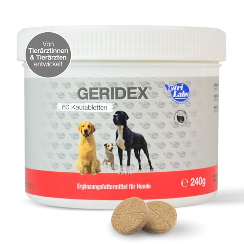 NutriLabs Geridex® Tabletten für Senioren-Hunde 60 STK. - Seniorentabletten für Hunde mit Glucosamin, Weißdorn u.v.m. - Hunde-Nahrungsergänzung - Teufelskralle-Tabletten - MSM-Hund