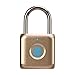 Fingerprint Padlock eLinkSmart Combination Lock - Gym Locker Lock Keyless Gold Color: Fingerprint Lock Biometric Metal Digital Padlock for Gym Locker, School Locker Backpack Suitcase Luggage -  ‎Shenzhen Elink Smart Co., Ltd., YL-P8
