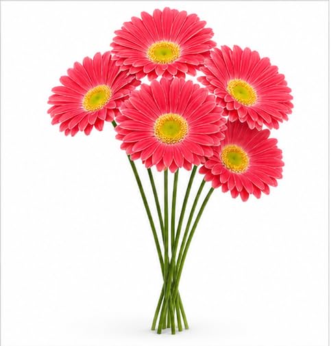 Image of CURATED CART Gerbera Daisy Flowers - Pack of 5 Pink Faux Blooms, 30cm Tall | Real Touch PU Petals with Bendable Green Stems | Artificial Flower Bouquet for Home, Kitchen, Office (Pink) (No Vase)
