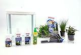 garnelen nano cube einrichten Inhalt: 7 Liter AquaOne Hr-230 weiß inklusive Dekoration Nano Aquarium Komplettaquarium Filteranlage Nanoaquarium Set Filter Beleuchtung