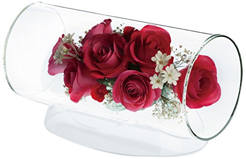 Amazon｜レンデフロール バラ・かすみ草 TA-N｜ドライフラワー