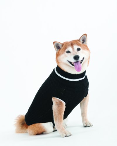 SPOT Ethical Products Fashion Pet Classic Cable Sweater | Dog Sweater | Leash Hole | Stylish Turtleneck Design | 100% Acrylic , Warm and Comfortable | Black | Medium | By Ethical Pet