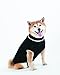 Fashion Pet Lookin Good Classic Cable Sweater for Dogs, X-Large, Black