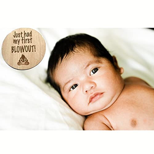 Image of Funny Baby Monthly Milestone Announcement Cards | 13 Round Wooden Double Sided Signs | Gender Neutral Gifts | Baby Shower | Fun Photo Props | Baby Registry | Pregnancy Gift | Baby Photo Props