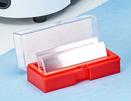 Globe Scientific 1415-10 Cover Glass, 24 X 50Mm, No. 1 Thickness (Case Of 10) #TOP7