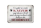 Laqué mat Plaque en tôle de 18 x 12 cm - Il y a tellement de chats dans ce monde et nous avons le plus beau - DekoNo7