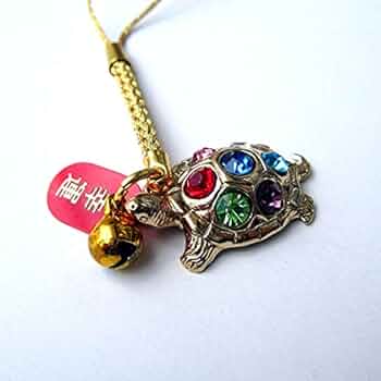 石亀様 リクエスト 5点 まとめ商品 41-Z6QgIZWS._AC_UF350,