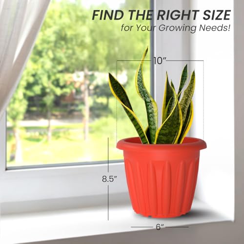 Image of YUCCABE ITALIA SHERA Floot 10 Inch Plastic Flower Pot 12 Piece Set of Round Shape Planter for Home Garden Seedling Planter for pots (Red)