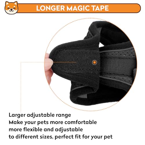 Pwod Dog Harness With Leash Set, No-Pull Step-In Reflective Pet Harness With 1 Leash Clips thumb #4