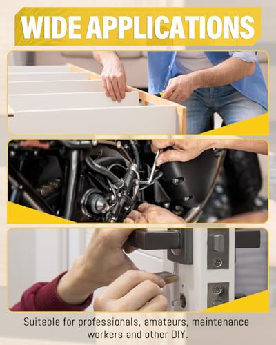 Caianwin 330 Stück Kegelspitz Madenschrauben Set M3 M4 M5 M6 M8 Edelstahl Schrauben Innensechskant Gewindestifte mit 5 Stk Schraubenschlüssel für Türklinke, Halterung