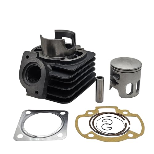 leihuo 48mm ボアアップキット適用され ライブDIO SR SP ZX 50 AF 18 20 23 24 25 27 28 30 31 51 52 DJ-1RR（約75ｃｃ