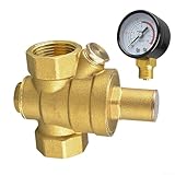 Niceminiwall Druckminderer Wasser 3/4 Zoll DN20 mit Manometer Messing einstellbar für Boiler und Outdoor Power Equipment(M)