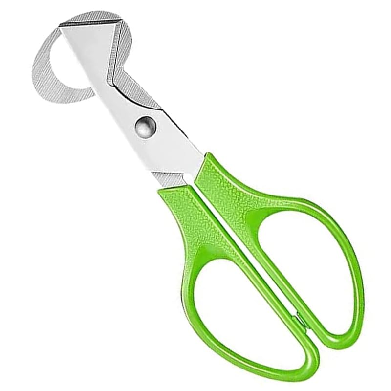 Tijeras de huevo de codorniz cortador de huevos de acero inoxidable tijeras de huevo pequeñas huevos de codorniz herramienta de cocina abridor de cáscara de huevo abridor de huevos de codorniz