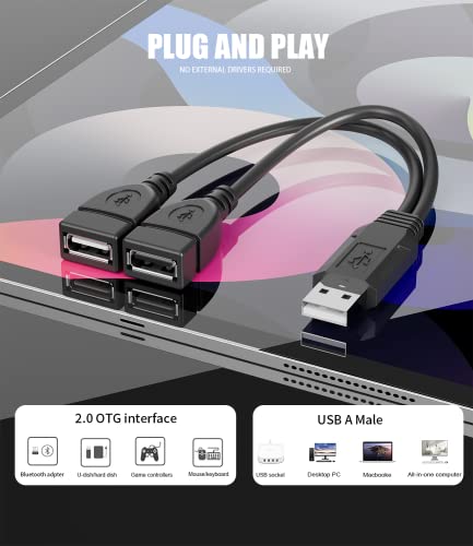 Eanetf Usb Splitter, 1 Male To 2 Female Usb Extension Cable Connectors,Usb A 2.0 Male To Dual Usb Female Jack Y Splitter Charging Cable For Laptop,Car,Mac,Tv,Pc,Xbox One Series X/S,Hdd,Phone - 2 Pack #TOP5