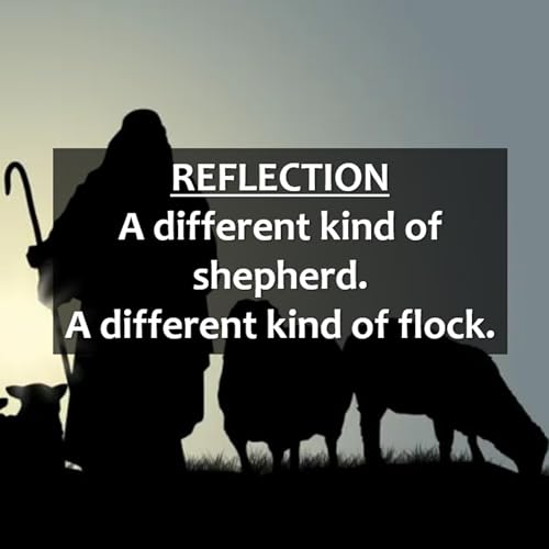 『A different kind of Sheppard A different kind of flock.』のカバーアート