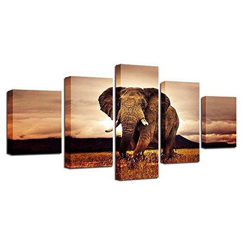 Tableau éléphant 5 pièces pour habiller un grand mur vide de salon sans cadre encombrant