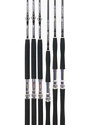Fitzgerald Rods Stunner HD Caña de pescar giratoria para agua salada de 8 pies, acción rápida y potencia pesada miniatura 3