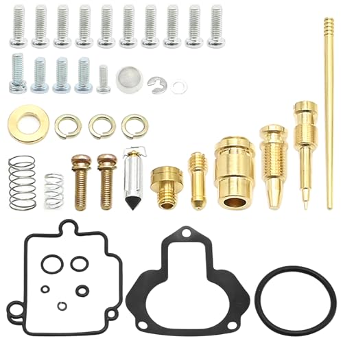 SYOWADA 016-307 Carburetor Rebuild Kit Replacement for