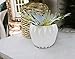 Bloomingville White Fluted Stoneware Flower Pot