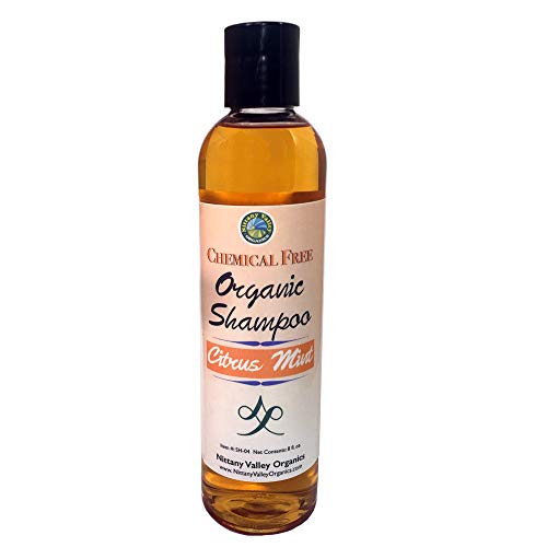 Citrus Mint Organic Shampoo