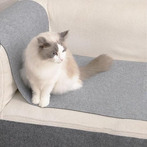 Tapis à gratter de chat pour canapé dans le salon tapis griffoir chaton