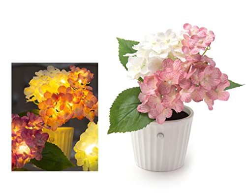 lZT[@\t@LEDCgt[@zԃAW q@ϗtA i t[AWg t[Cg dr  xbgTCh Ɩ iCgCg CeA G ̓ Mtg v[g a j EFfBO q