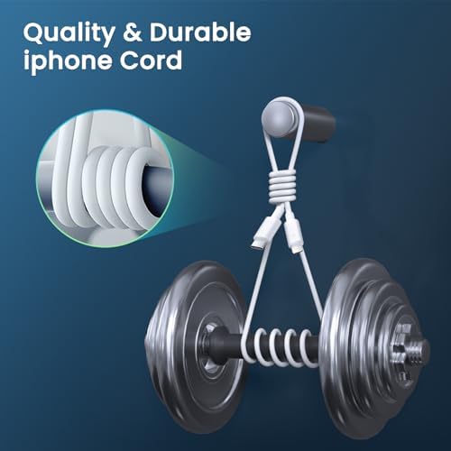 iPhone Charger Fast Charging, 2Pack USB C Charger Block with 6&10FT Cables