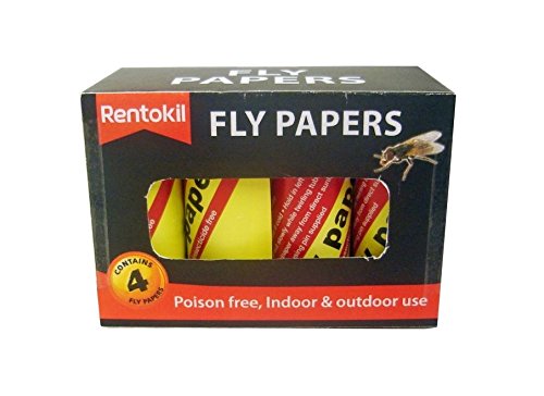 Fly Papers (Four Pack)