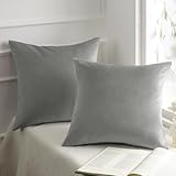 Phantoscope クッションカバー ベルベット 2枚セット シンプル 座布団カバー 無地 手触り良く ベロア ライトグレー 45×45cm