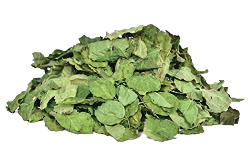 ads Organic Mehndi (Henna) Leaves Dry (100 Gram) miniatura 1